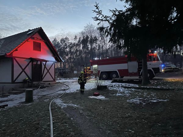 Jelenice (2023) náhled